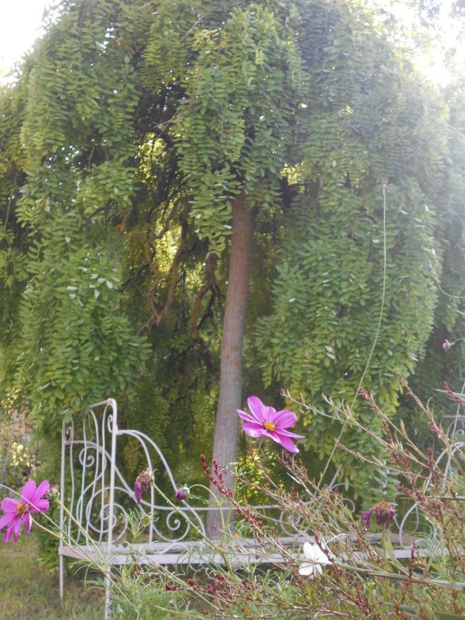 Bed and Breakfast Bastida De Beata Noailles  Exterior foto